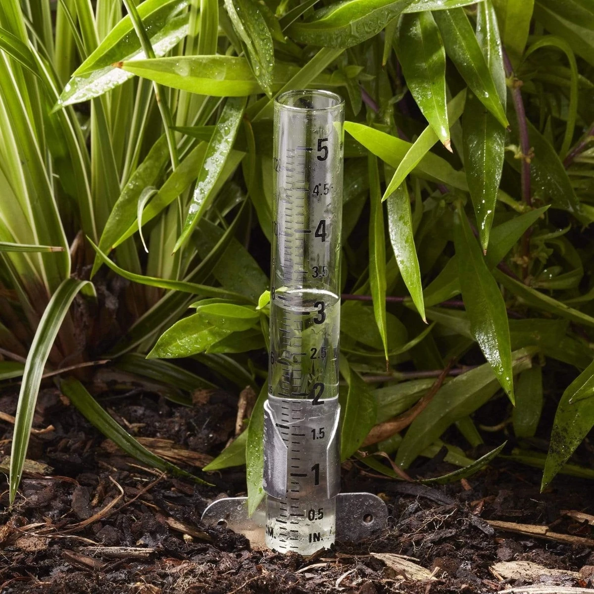 5" Capacity Glass Rain Gauge 4 5" Capacity Glass Rain Gauge - Image 2