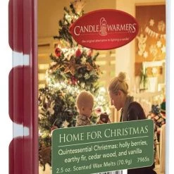 Candle Warmers Wax Melts, 2.5oz 23 Candle Warmers Wax Melts, 2.5oz -Home Sales Store 49460471