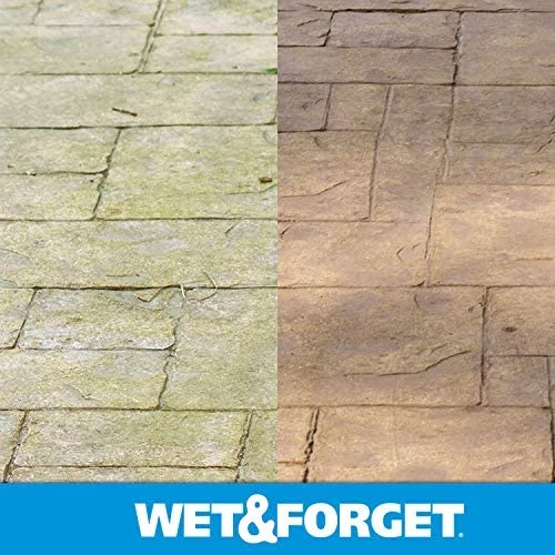 Wet & Forget 805048 Moss, Mold, Mildew and Algae Stain Remover Hose End – 48 oz 9 Wet & Forget 805048 Moss, Mold, Mildew and Algae Stain Remover Hose End – 48 oz - Image 7