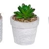 Alpine Flowerpot w/ Plants - Assorted -Home Sales Store kgd212abb
