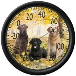 Taylor 13.25" Thermometer -Home Sales Store labrador 1