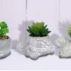 Alpine Cement Animal Pot w/Succulent - Assorted -Home Sales Store wqa1214abb 1